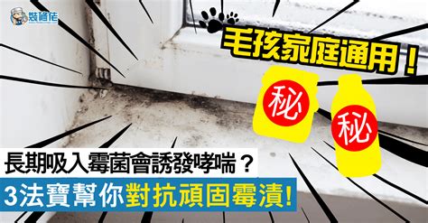 屋企發霉風水|屋內有地方發霉會影響運程？ 